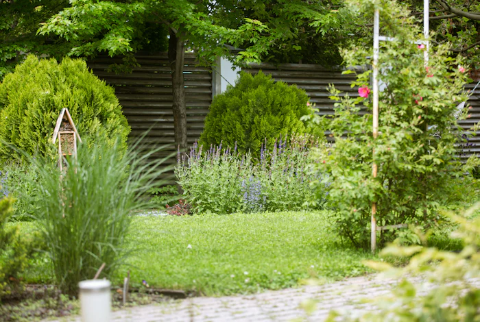 A lush, manicured garden