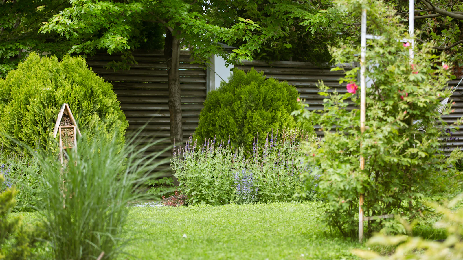 A lush, freshly manicured back garden with clipped lawn, deep borders and a stone edge